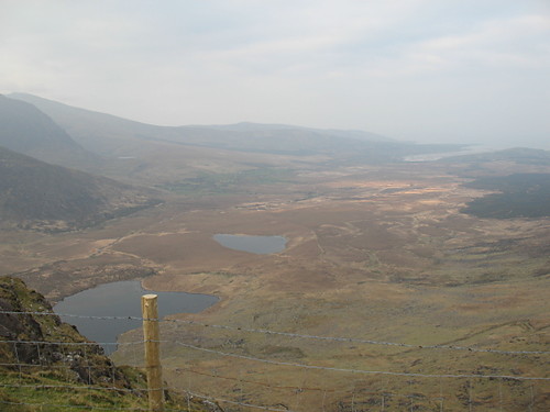 Dingle