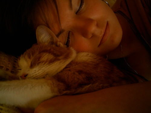 my sweet dreams ...
