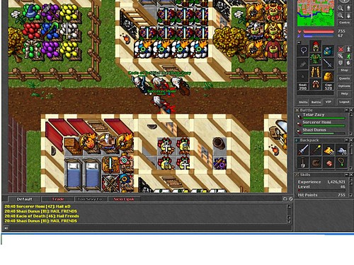 TIbia