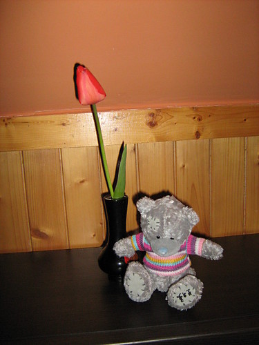 Tulipan od Kochanki ;**