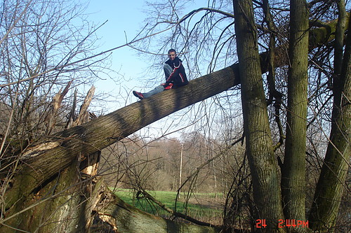 Na drzewku =)) 