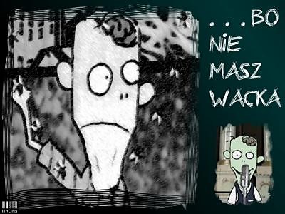 no bo Czesio jest czarny...