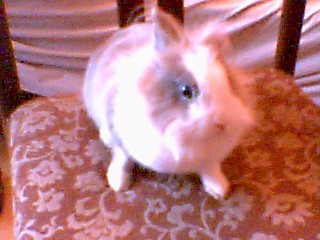 Moje Kochanie:**