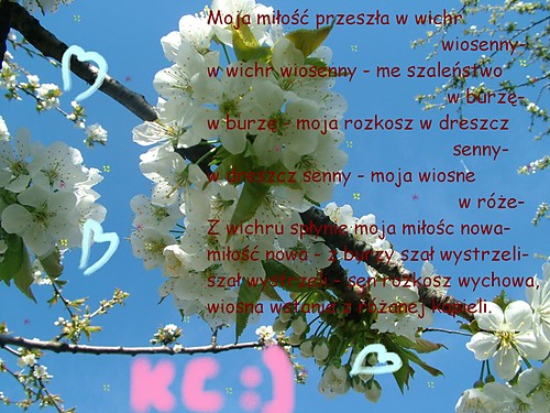 Busiaki Pustaki :* Nudy ..amm ;/