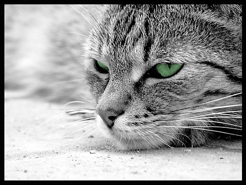 Mandy Moore - ONLY HOPE...