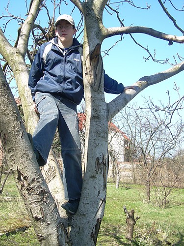 *Tomek*
