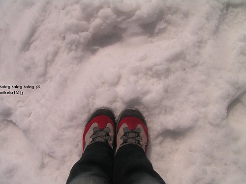 nieg aha ;3