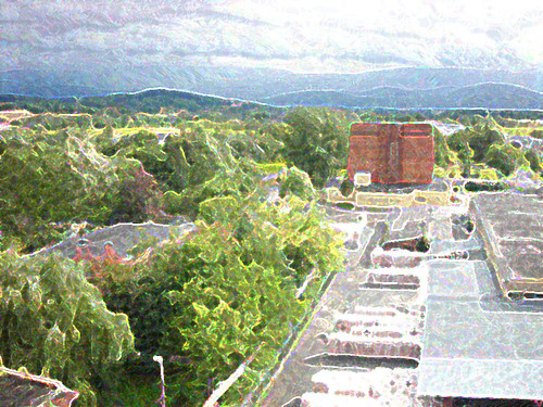 Panorama (celwiskoza)