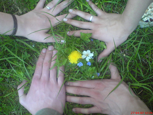 Wiem e nic nie weim -----------