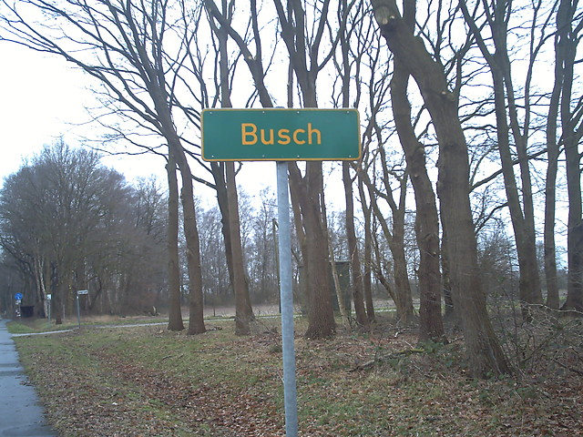 Busch