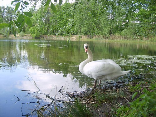 nice place :)
