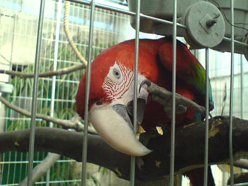 4.