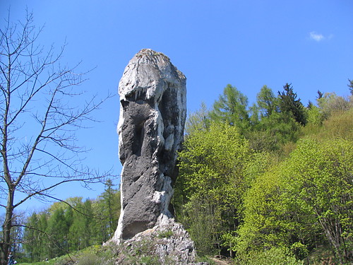 Maczuga Herkulesa
