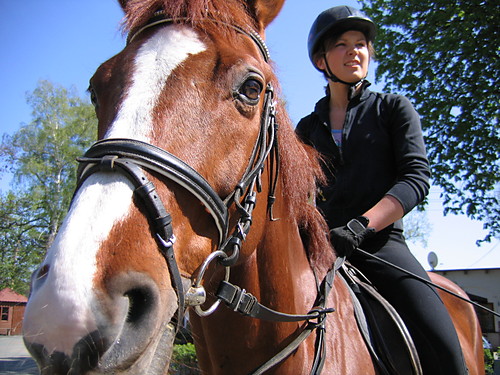 Apollo i ja ^^