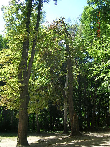 Park...