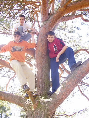 3Bosy