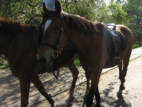 Neska, w tle Daria i Nikita :*