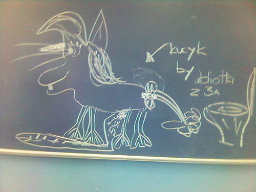61. 'kucyk' by Idiotki z 3'a' xD