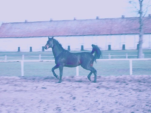 fantasmagorie