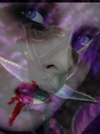 ZA 