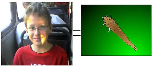 palka = palka?
