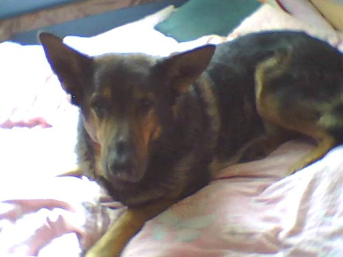 Miller rox ^^