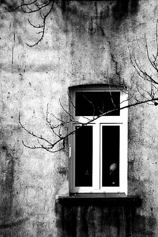 ..lustrzane odbicie