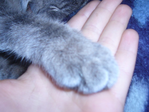 Nic nie ma sensu ;(;(;(