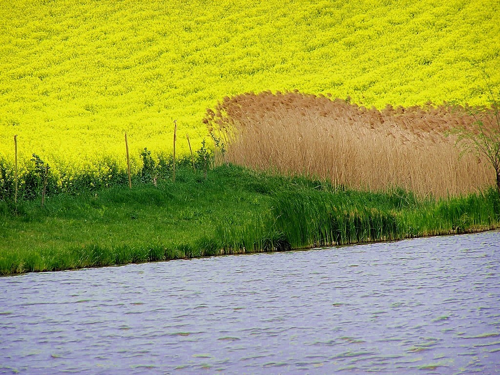 Colours of The World ;)