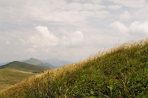 Pooniki