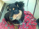MoJ PiEsEk aToS :):)
