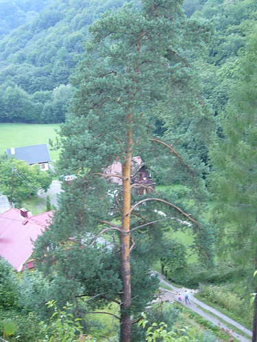 Nadziejkowo:P