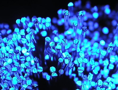 fibre