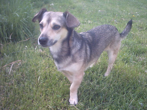 Max ;)