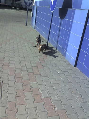 Necik i Mendzia..:)
