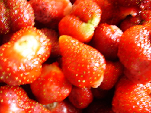 orzewiajco.