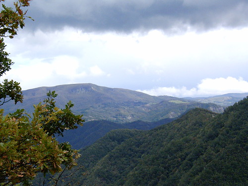 bez niadania