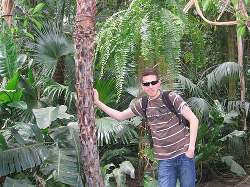 In the Jungle ;)