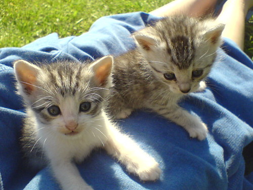 Sweet:)
