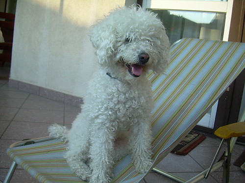 Mika 