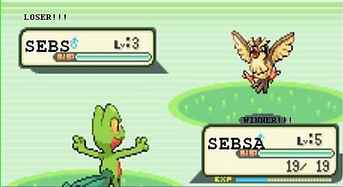 SEBS-LOSER!!!