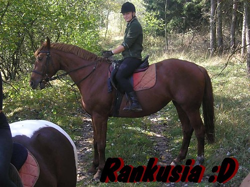 ^^ Rankosia ^^ :* 