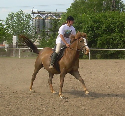 Galop na Norze