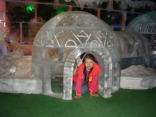 Magic Ice Zoo