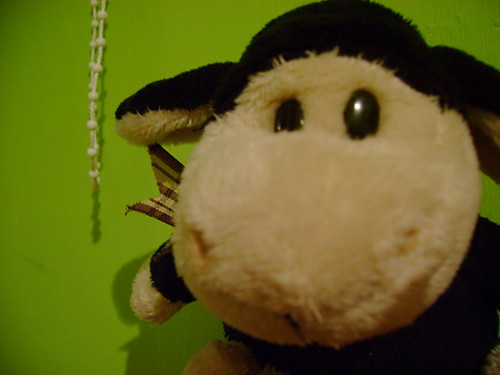 Owca :)