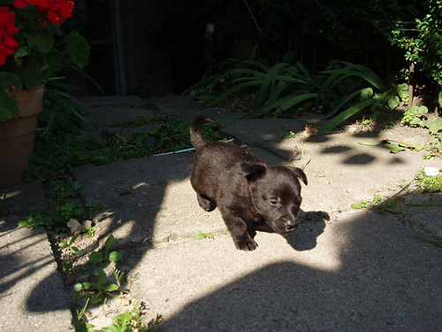 KuBuS:):):*