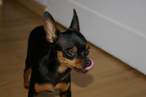 Betisia;*