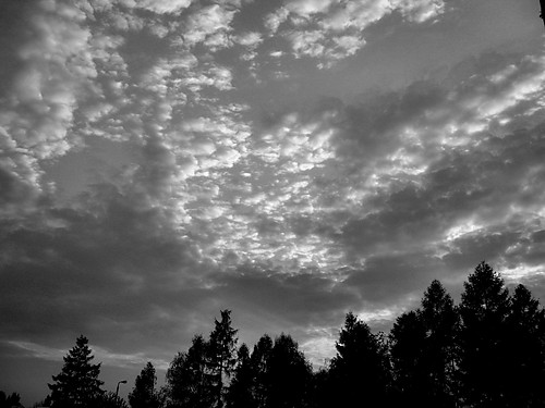 sky 1 