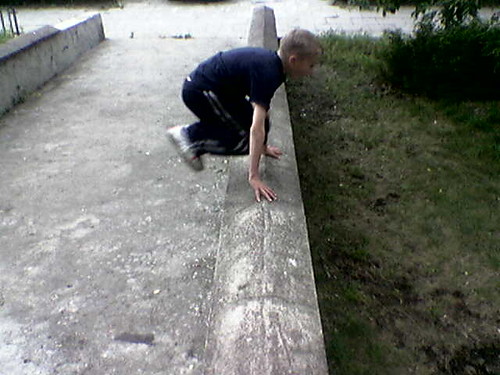 monkey vault