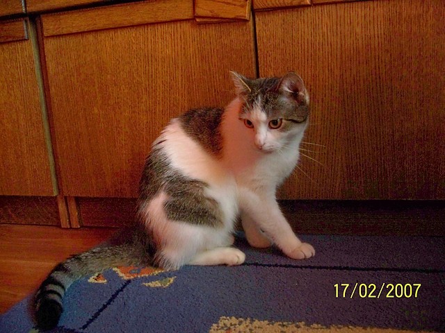 Dusia:)